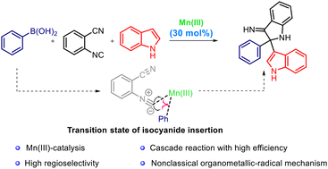 Graphical abstract: A Mn(iii)-catalyzed arylboronic acid-based cascade reaction via a nonclassical organometallic-radical mechanism