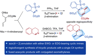 Graphical abstract: Aza-[4 + 2] annulations of α-vinyl Morita–Baylis–Hillman adducts for regiodivergent synthesis of exomethylene-bearing azatricyclic compounds