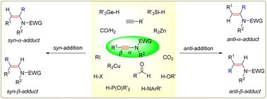 Graphical abstract: Catalytic intermolecular hydrofunctionalizations of ynamides