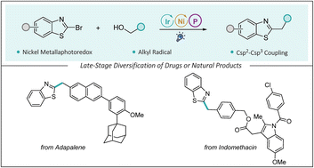 Graphical abstract: Nickel metallaphotoredox-catalyzed C–O bond activation/Csp2–Csp3 coupling enabled by phosphine