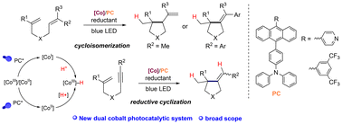 Graphical abstract: Cyclization reactions of 1,6-dienes and 1,6-enynes by dual cobalt photocatalysis