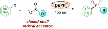 Graphical abstract: Visible light-induced sulfonylation with sulfinates as closed-shell radical acceptors