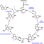 Graphical abstract: Mechanistic insights into the rhodium catalysed dehydrogenative cycloaddition of cyano-yne-allene substrates