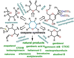 Graphical abstract: Advancements in the synthesis of polyoxygenated oxepanes and thiepanes for applications to natural products