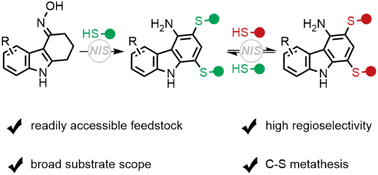 Graphical abstract: Synthesis of multisubstituted carbazol-4-amines from tetrahydrocarbazol-4-one oximes