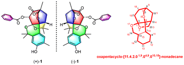 Graphical abstract: (±)-Hypandrone A, a pair of polycyclic polyprenylated acylphloroglucinol enantiomers with a caged 7/6/5/6/6 pentacyclic skeleton from Hypericum androsaemum