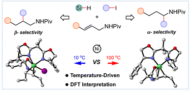 Graphical abstract: Entropy effects in temperature-regulated nickel-catalyzed regiodivergent alkene hydroalkylation