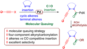 Graphical abstract: Palladium-catalyzed multi-component Heck alkynylcarbonylation of unactivated alkenes for synthesis of β,γ-alkynoates
