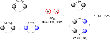Graphical abstract: Visible-light-driven PCy3-promoted deselenization of 1,2-diselenides