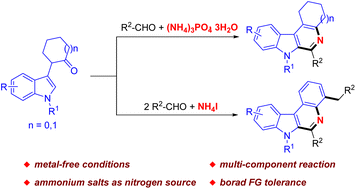 Graphical abstract: Base-promoted fused β-carboline formation from 2-(1H-indol-3-yl)cyclohexan-1-ones, aldehydes and ammonium salts
