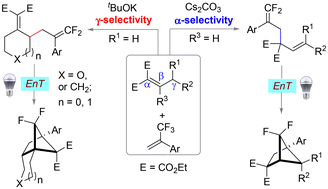 Graphical abstract: Regioselective difluoroallylation of alkylidene malonates with trifluoromethyl alkenes: synthesis of gem-difluoro-1,5-dienes and their [2 + 2] photocycloaddition