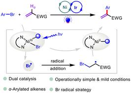 Graphical abstract: Dual photoredox/nickel-catalyzed Mizoroki–Heck cross-coupling reactions