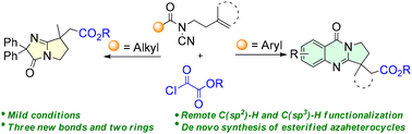 Graphical abstract: Alkoxycarbonylation-triggered nitrile insertion/remote C(sp2)–H and C(sp3)–H functionalization to access esterified quinazolinones and amidines