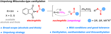 Graphical abstract: Direct dehydroxy(sulfhydryl)xanthylation of alcohols and thiols