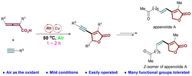 Graphical abstract: Aerobic bimetallic catalysis for oxy-alkynylation of allenes