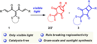 Graphical abstract: Visible-light-driven, catalyst-free intramolecular crossed and straight [2 + 2] cycloaddition
