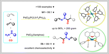 Graphical abstract: Four-component regio-divergent carbonylative condensations for the sustainable syntheses of acylhydrazones