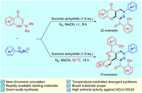 Graphical abstract: Selective synthesis of pyridazine-fused chromones and 3-pyridazinyl chromones through intermolecular chromone annulation of o-hydroxyphenylenaminones with aryldiazonium salts