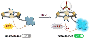 Graphical abstract: A pyrene–calix[4]triazolium conjugate for fluorescence recognition of hydrogen sulfate