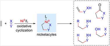 Graphical abstract: Catalytic transformations of alkenes via nickelacycles