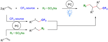 Graphical abstract: Photoredox-catalyzed three-component carbotrifluoromethylation of alkenes via radical–radical cross-coupling