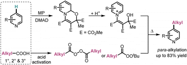 Graphical abstract: para-Selective radical alkylation of pyridines with diacyl peroxides and peresters