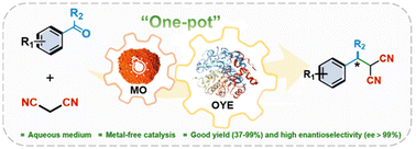 Graphical abstract: One-pot photoenzymatic synthesis of β-chiral malononitrile derivatives