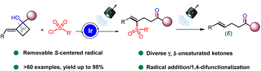 Graphical abstract: Photoredox-enabled ring-opening of cyclobutanes via the formation of a carbon radical