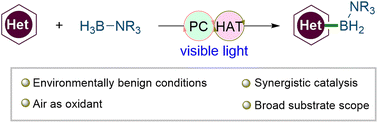 Graphical abstract: Metal-free C–H borylation of heterocycles by merging photoredox and hydrogen atom transfer catalysis