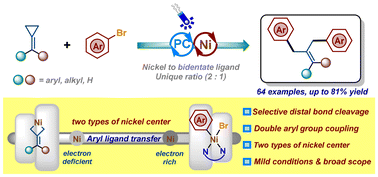 Graphical abstract: Ni/photoredox-catalyzed coupling of aryl bromides and methylenecyclopropanes via selective distal bond cleavage