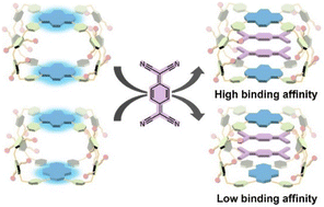 Graphical abstract: Two pyrene-based cagearene constitutional isomers: synthesis, separation, and host–guest chemistry