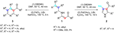 Graphical abstract: Tandem site-selective bromination and highly regioselective Heck reaction of N-allyl enaminones: chemodivergent synthesis of polysubstituted pyrroles and pyridines