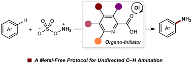 Graphical abstract: Organo-initiator enabled undirected C–H amination of arenes