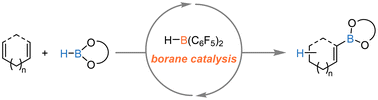 Graphical abstract: Bis(pentafluorophenyl)borane catalyzed atom-economic formation of alkenyl- and (homo)allyl boronates from dienes and boronic esters