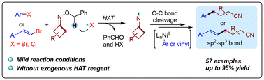 Graphical abstract: C–C bond cleavage arylation and alkenylation of cyclobutanone oxime ethers via photoredox/nickel catalysis