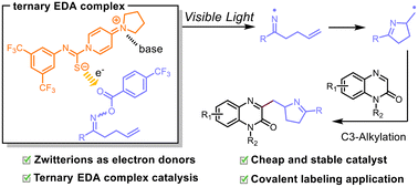 Graphical abstract: Zwitterions as catalytic electron donor species for visible light-induced photoactivation of oxime esters and direct C3-alkylation of quinoxalin-2(1H)-ones