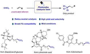 Graphical abstract: Photocatalytic hydrotrichloromethylation of unactivated alkenes with chloroform