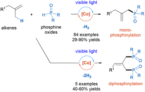 Graphical abstract: Photoinduced cobaloxime catalysis for allylic mono- and diphosphinylation of alkenes with hydrogen evolution