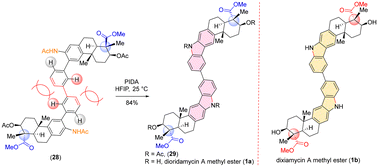 Graphical abstract: Highly regioselective oxidative Csp2–H amination for indolosesquiterpene alkaloids: total synthesis of (+)-dioridamycin