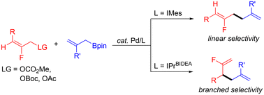 Graphical abstract: Palladium-catalyzed NHC ligand-controlled regiodivergent allyl-fluoroallyl cross-couplings