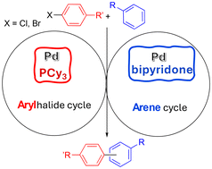 Graphical abstract: Metal–ligand cooperation and synergistic palladium catalysis for the dual ligand system [2,2′-bipyridin]-6(1H)–one/PCy3: milder conditions for the undirected C–H arylation of arenes