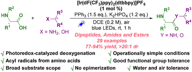 Graphical abstract: A visible light-mediated deoxygenation protocol for the synthesis of dipeptides, amides and esters without racemization