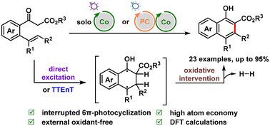 Graphical abstract: Photoinduced Co-catalyzed dehydrogenative cyclization of 2-alkenylphenyl carbonyl compounds and mechanistic insights