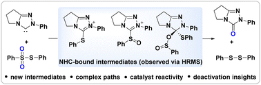 Graphical abstract: Redox reaction between N-heterocyclic carbenes and sulfonates: insights into unproductive catalytic paths