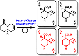 Graphical abstract: Enantiopure piperidines via stereoselective Ireland–Claisen rearrangement: entry into corynanthe alkaloids