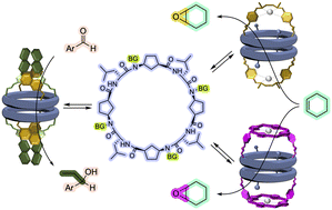 Graphical abstract: Modular supramolecular capsules based on α,γ-cyclic peptide dimers for the development of confined catalysis