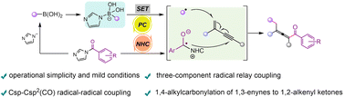 Graphical abstract: NHC and photoredox co-catalyzed 1,4-alkylcarbonylation of 1,3-enynes