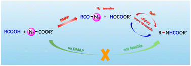 Graphical abstract: Mechanisms of Cu/DMAP-cocatalyzed and DMAP-catalyzed C–N decarboxylative cross-coupling reactions