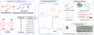 Graphical abstract: Design, synthesis, and inhibitory activity of hydroquinone ester derivatives against mushroom tyrosinase