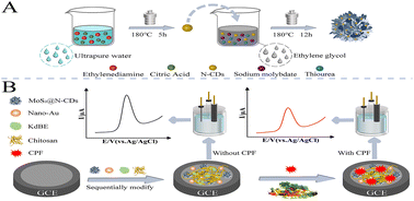 Graphical abstract: A new plant-esterase inhibition based electrochemical sensor with signal amplification by MoS2@N-CDs for chlorpyrifos detection